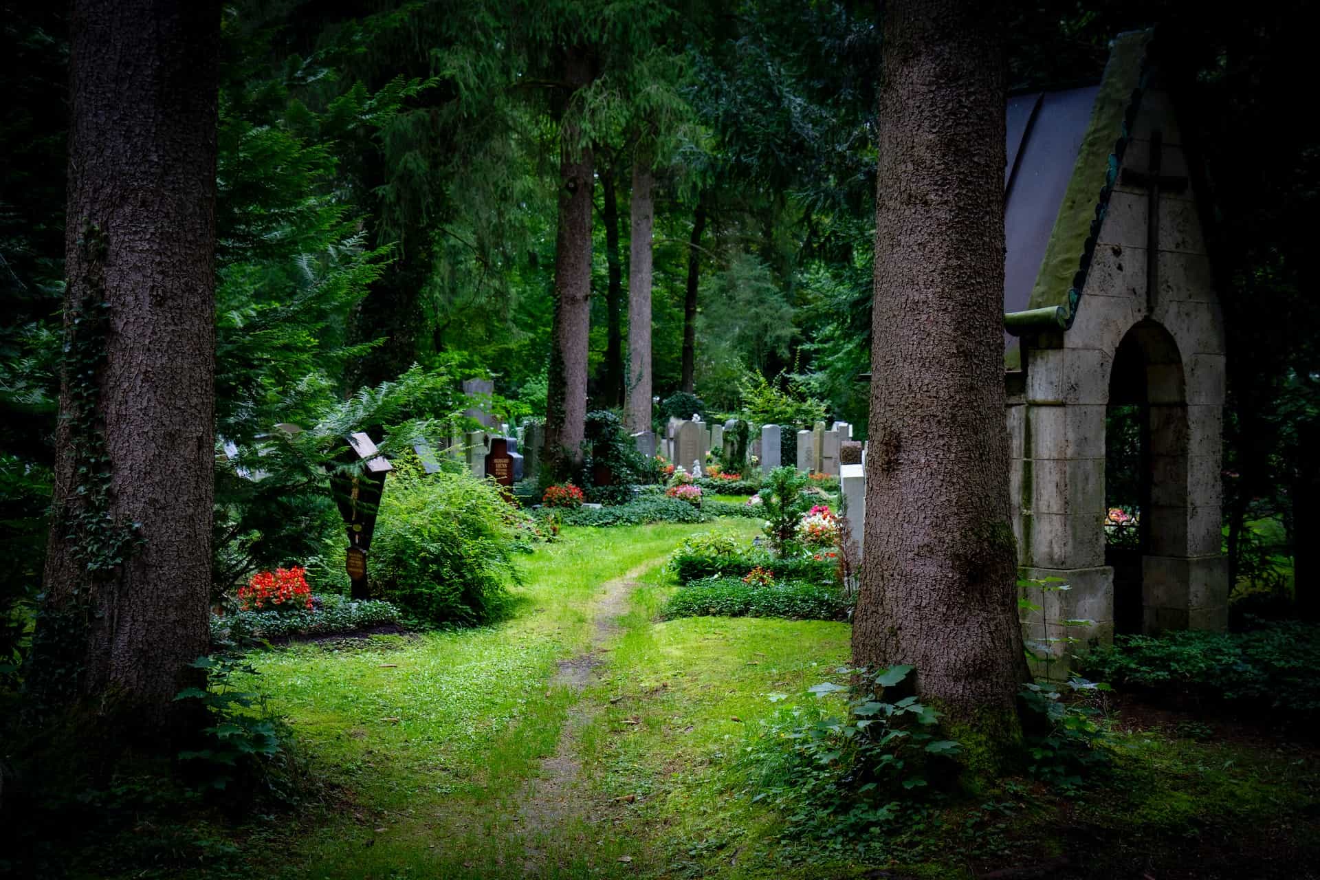 Tombes dans un cimetière